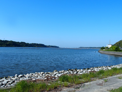 浜松市西区和地町は、湖に面した町。浜名湖の穏やかな風景が広がっている。